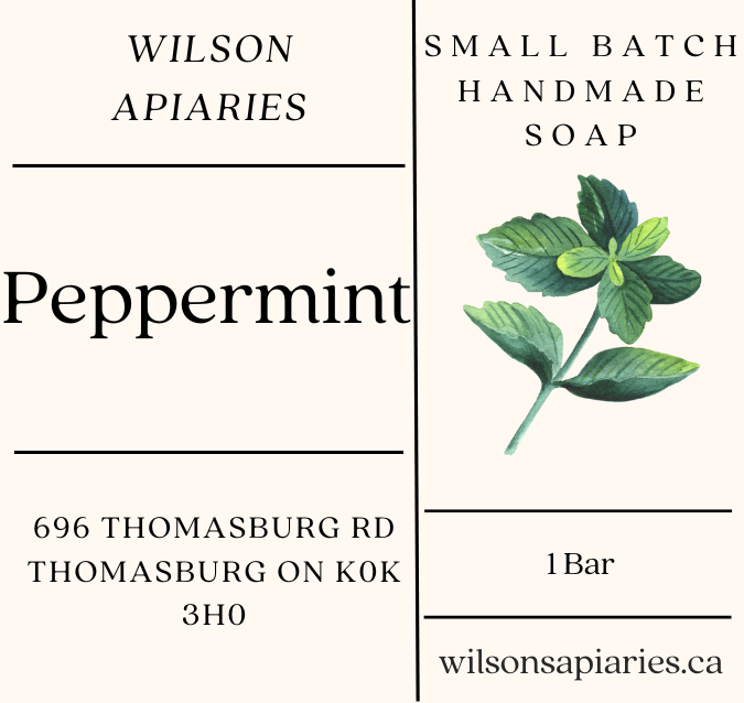 Peppermint Soap